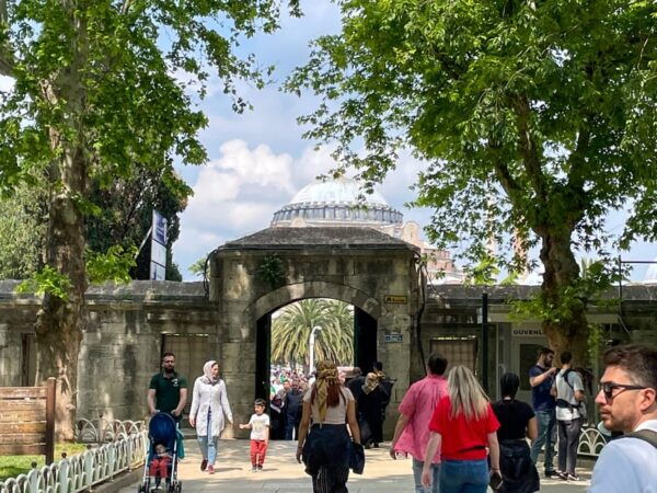 Istanbul: Blue Mosque, Basilica Cistern & Hagia Sophia Tour - Customer Reviews and Feedback