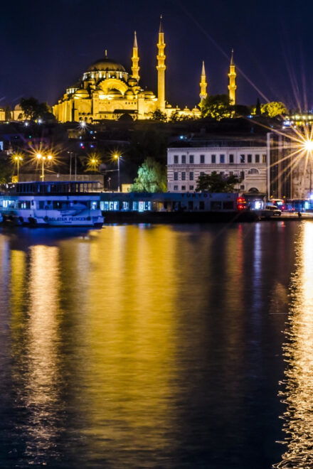 Istanbul: Bosphorus Boat Cruise With Dinner & Entertainment - Language and Accessibility