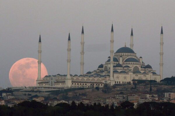 Istanbul: Bosphorus Cruise and Asian-European Adventure - Customer Feedback