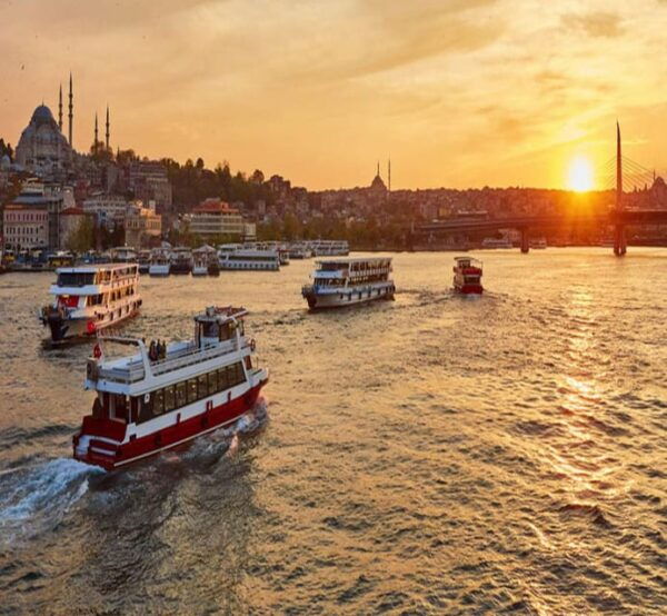 Istanbul: Bosphorus Cruise With 1 Stop on the Asian Side - Tips for Your Journey