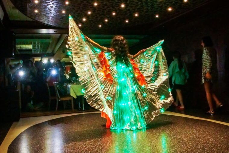 Istanbul: Bosphorus Dinner Cruise w/ Drinks & Entertainment - Who Should Consider This Experience?
