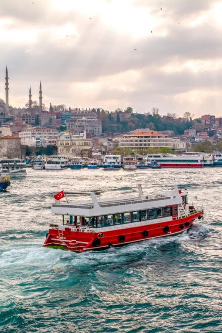 Istanbul: Bosphorus Guided Sightseeing Cruise - Experience and Features