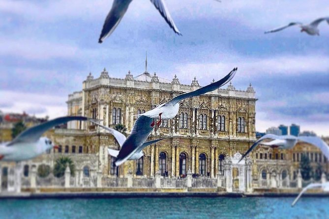 Istanbul Bosphorus Lunch Cruise Half Day Afternoon - Transfer From Hotel in Air-Conditioned Vehicle