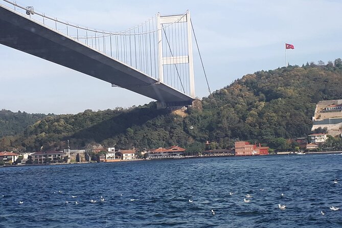 Istanbul Bosphorus Lunch Cruise Half Day Afternoon - Sail Down the Bosphorus Strait