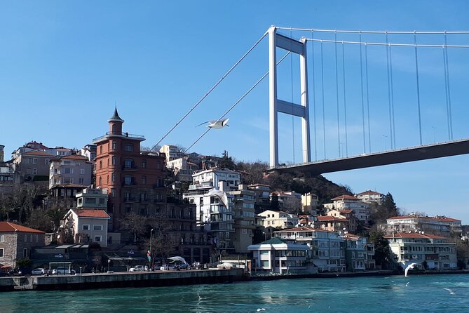 Istanbul Bosphorus Lunch Cruise Half Day Afternoon - Traveler Reviews and Ratings