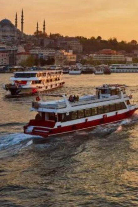 Istanbul: Bosphorus Morning/Sunset Cruise With Optional Stop - Experience and Sights