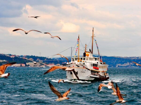 Istanbul: Bosphorus Morning/Sunset Cruise With Optional Stop - Tips for a Memorable Experience