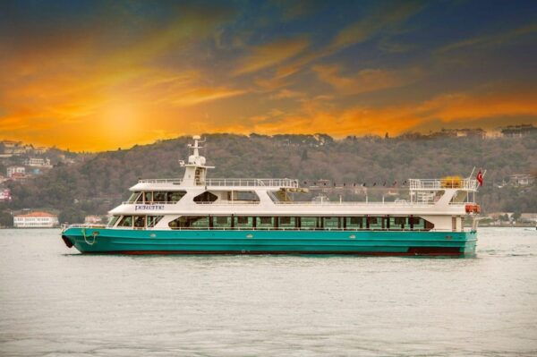 Istanbul: Bosphorus Sunset Cruise With Drinks & Snack Option - Essential Tips