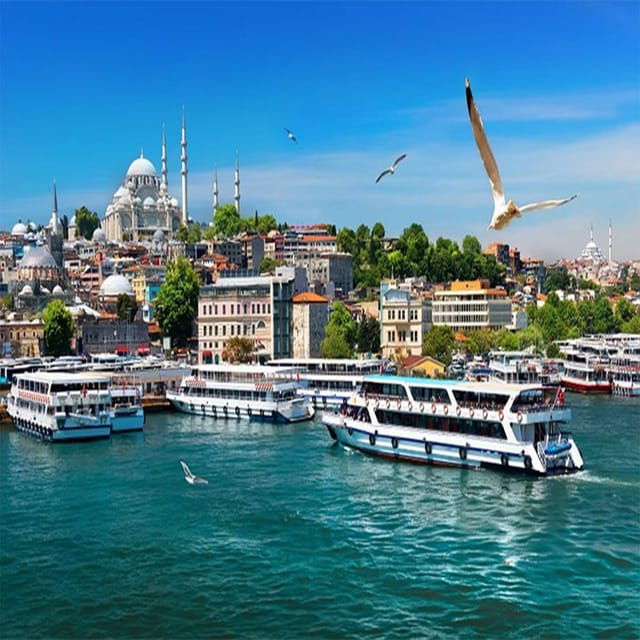 Istanbul Bosphorus Sunset Guided Cruise Tour - Inclusions and Amenities