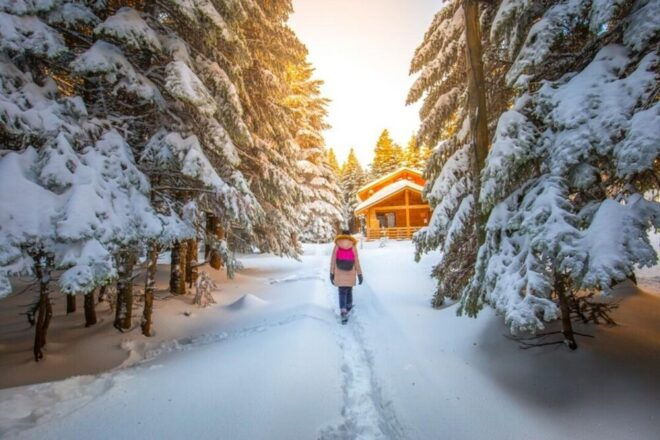 Istanbul: Busra & Mount Olympus Guided Tour With Cable Car - Booking Information