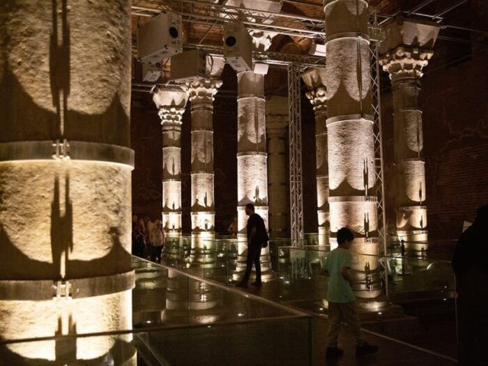 Istanbul: Cistern of Theodosius Entry Ticket and Audio Guide - Who Should Consider This Tour