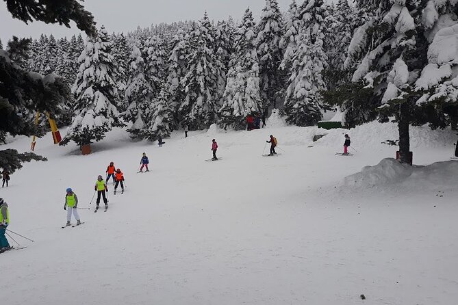 Istanbul City or Airports to Bursa Uludag Sky Centeror Vice Versa - Meeting and Pickup