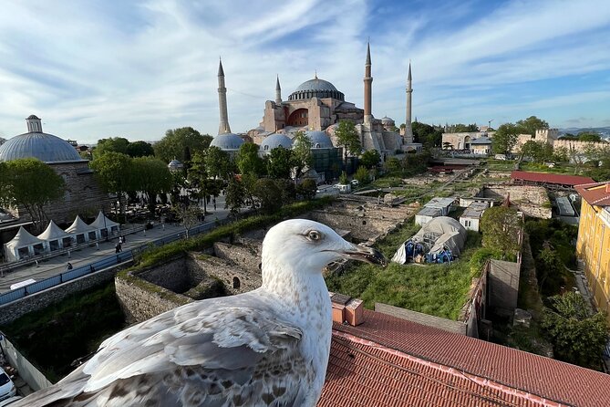 Istanbul City Tour From Cruise Ship Terminal Galataport. - Common Questions
