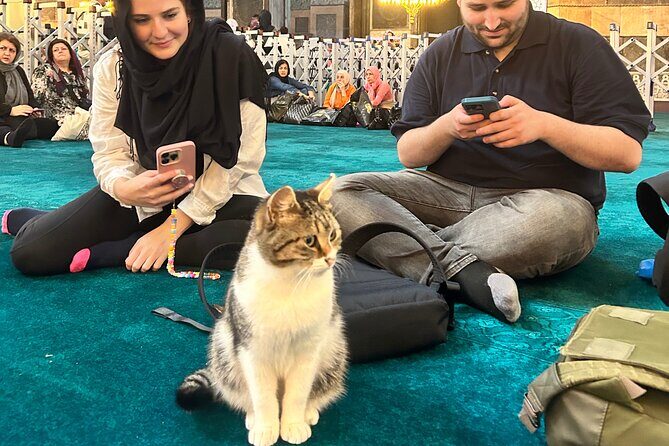 Istanbul City Tour W/ Fast Track Basilica Cistern W/ Small Group - The Bottom Line