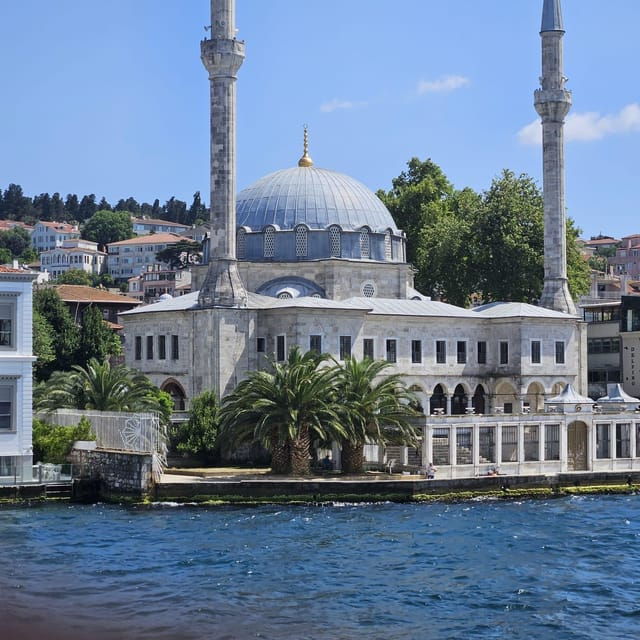 Istanbul: Cruise and Dine 2.5-Hour Bosphorus Lunch Tour - Experience Details