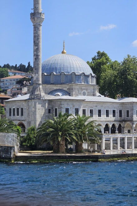 Istanbul: Cruise and Dine 2.5-Hour Bosphorus Lunch Tour - Inclusions and Exclusions