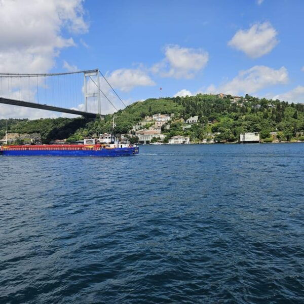 Istanbul: Cruise and Dine 2.5-Hour Bosphorus Lunch Tour - Highlights of the Cruise