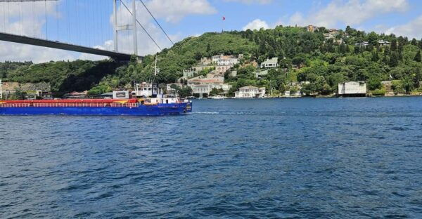 Istanbul: Cruise and Dine 2.5-Hour Bosphorus Lunch Tour - Frequently Asked Questions