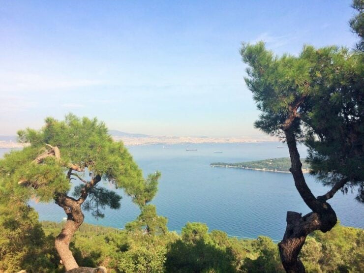 Istanbul: Day Trip to the Princes' Islands - Experience Highlights