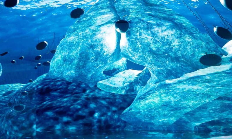 Istanbul: Digital Experience Museum Entry Ticket - The Experience: What You’ll Encounter