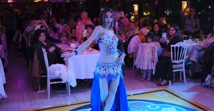 Istanbul: Dinner Cruise With Hotel Pickup & Optional Drinks - Itinerary and Sightseeing