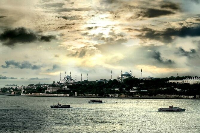 Istanbul Dolmabahce Palace / Bosphorus Cruise Tour - Bosphorus Cruise