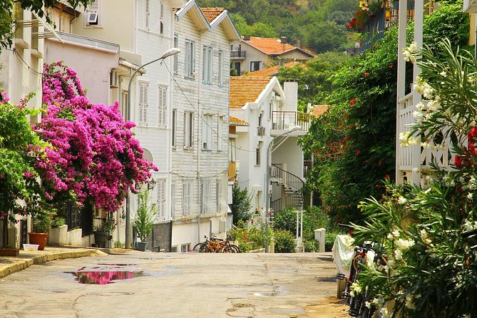 Istanbul: Ferry Tickets for Princes Island - Ferry Ticket Purchase and Access