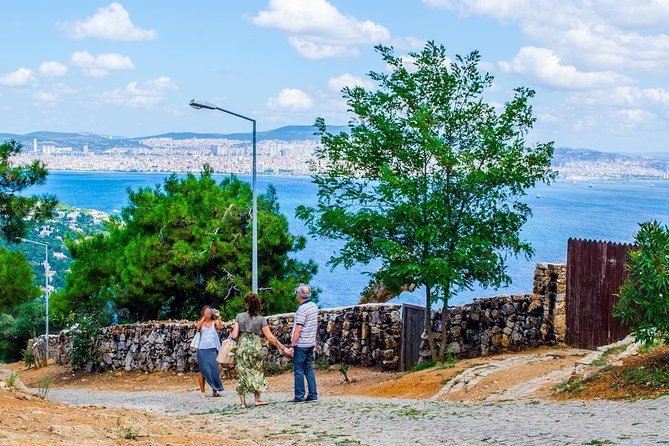 Istanbul: Ferry Tickets for Princes Island - Reviews and Viator Help Center