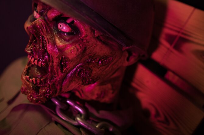 Istanbul: Frankenstein Horror House, Escape Room Game - Booking Confirmation and Accessibility