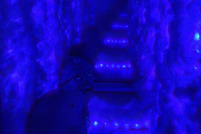 Istanbul: Frankenstein Horror House, Escape Room Game - Additional Information and Inquiries