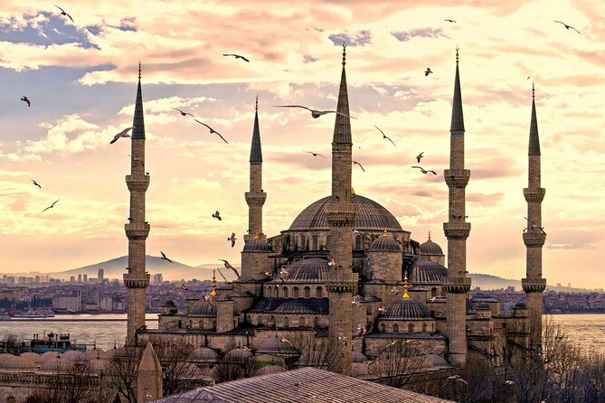 Istanbul Full Day Private English Guided Old City Tour - What To Expect