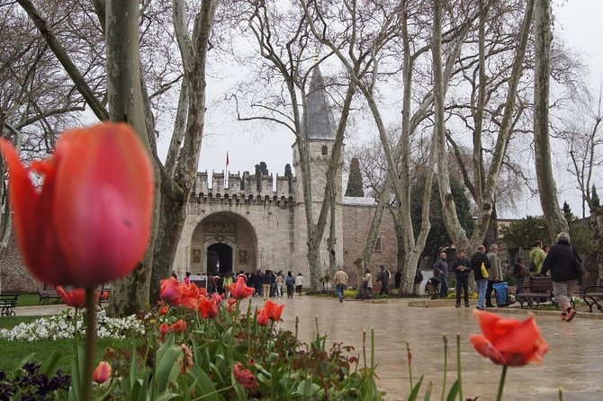 Istanbul Full Day Old City Guided Tour ( Shared) With Lunch - Pickup Details