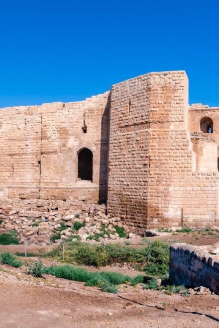 Istanbul: Gobeklitepe and Harran Day Trip - Exploring Gobeklitepe