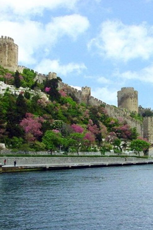 Istanbul Half-Day Tour and Bosphorus Cruise - Key Points