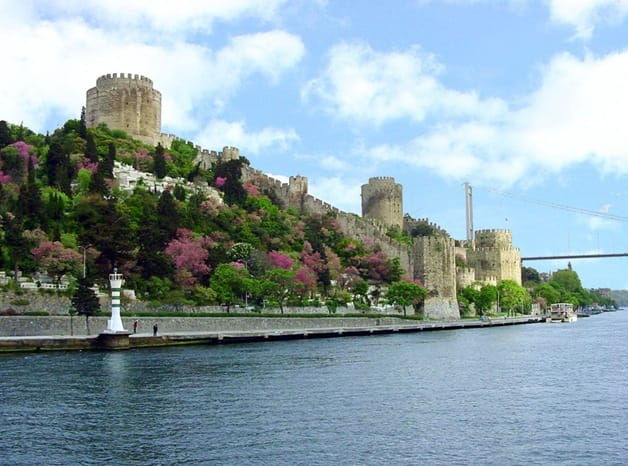 Istanbul Half-Day Tour and Bosphorus Cruise - Scenic Bosphorus Cruise