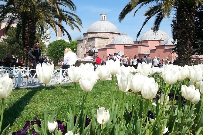 Istanbul Highlights Small Group Tour: Admission Fees and Lunch Are Included! - Included Admission Fees