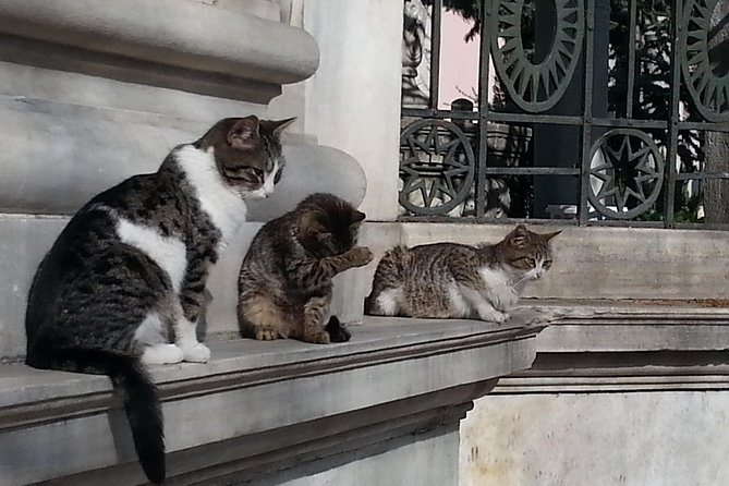 Istanbul Highlights Small Group Tour: Admission Fees and Lunch Are Included! - Start and End Points