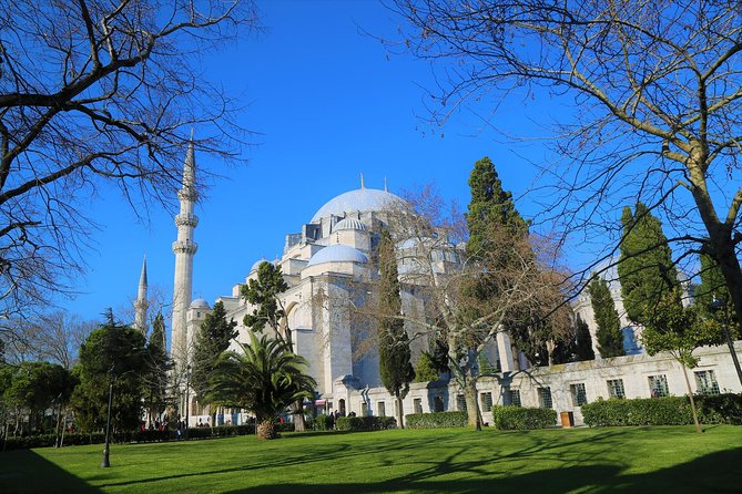 Istanbul Layover Tour With a Local: 100% Personalized, Private & Flexible - Appreciation for Personalized Experience