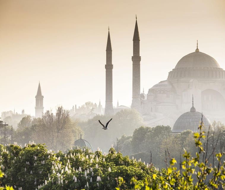 Istanbul: Luxury Istanbul Old City Private Day Tour - An In-Depth Look at the Luxury Istanbul Old City Private Day Tour