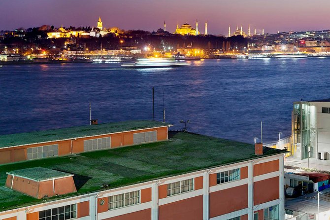 Istanbul Modern Art Small-Group Tour With Admission Ticket - Reviews