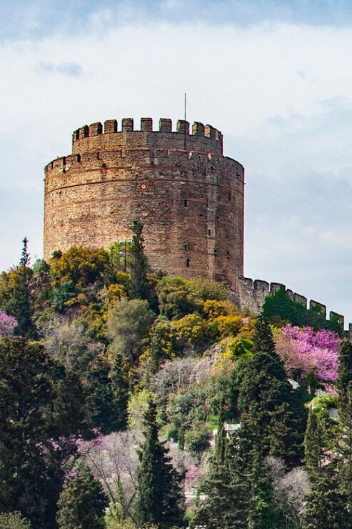 Istanbul: Morning or Sunset Cruise With Guide and Snacks - Experience and Itinerary