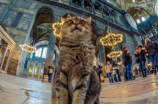 Istanbul Old City Walking Tour - Common Questions