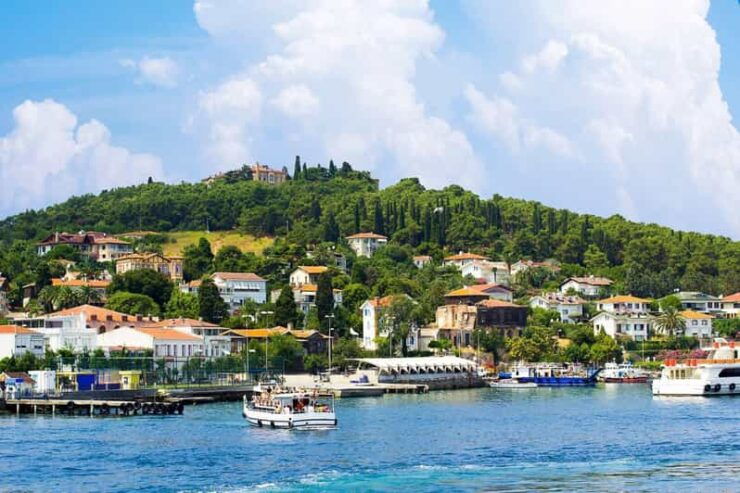 Istanbul: Prince Island Full Day Tour - Itinerary Details