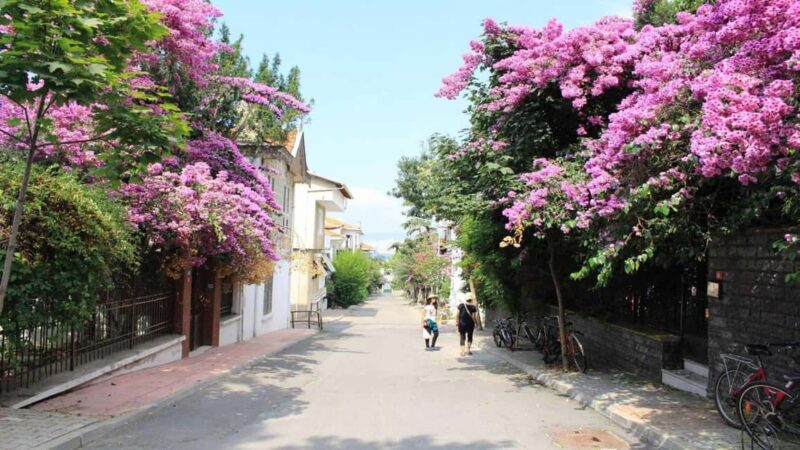 Istanbul: Princes Island Guided Two-Way Trip by Private Boat - Good To Know