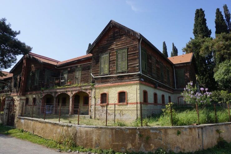 Istanbul Princes Island Tour Visiting 2 Island - Highlights of the Experience