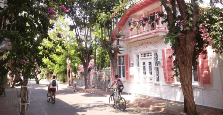 Istanbul: Princes Island Tour With Lunch and 2 Islands - Itinerary Highlights