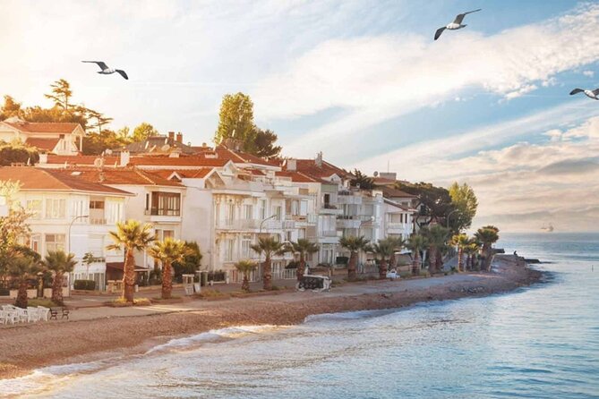 Istanbul Princes' Islands Boat Trip With Lunch - Positive Recommendation for Princes Islands