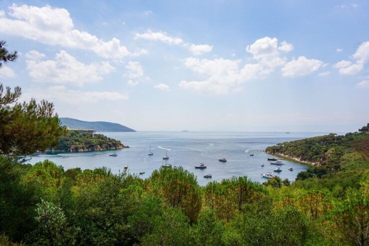 Istanbul: Princes' Islands Cruise W/Music, Lunch & Transfer - Booking Details
