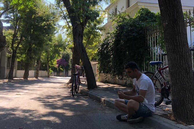 Istanbul Princes Islands Heybeliada Buyukada Guided Tour - Tour Overview and Activities