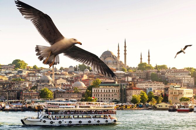 Istanbul Princes Islands Heybeliada Buyukada Guided Tour - Pick-up and Drop-off Information